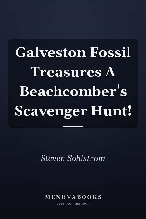 Galveston Fossil Treasures A Beachcomber's Scavenger Hunt!