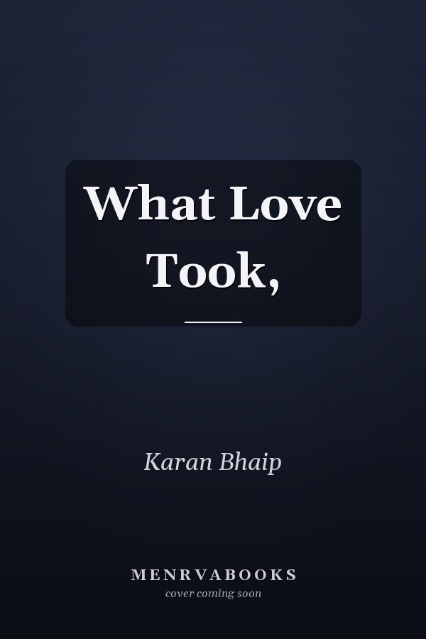 What Love Took,