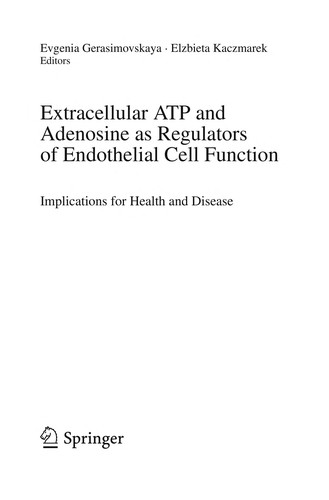 Extracellular ATP and Adenosine as Regulators of Endothelial Cell Function