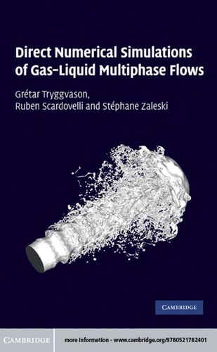 Direct Numerical Simulations of Gas-Liquid Multiphase Flows