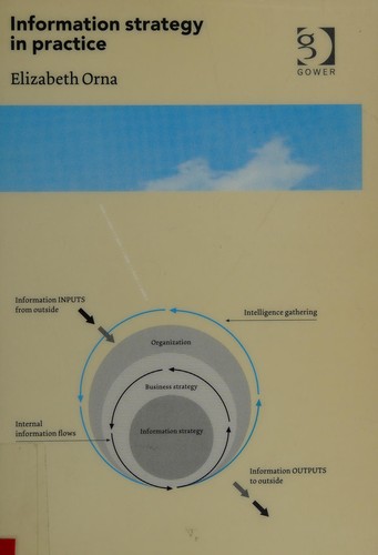 INFORMATION STRATEGY IN PRACTICE
