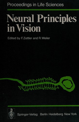 Neural Principles in Vision