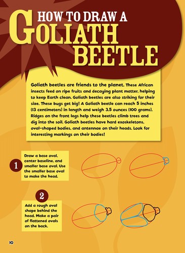 Insects You Can Draw