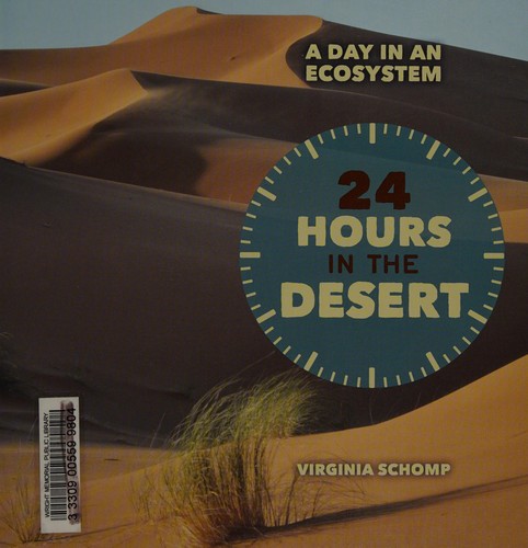 24 hours in the desert