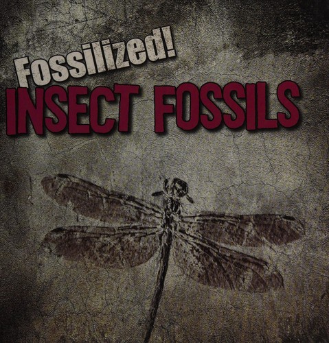 Insect fossils