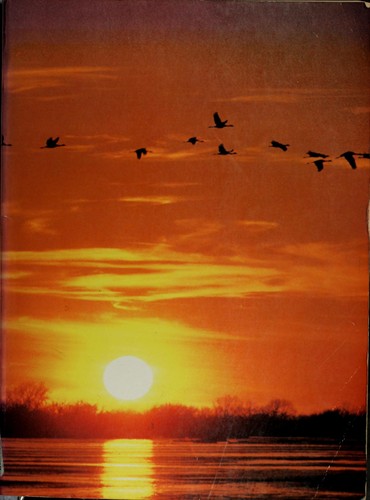 Ecosystems, energy, population