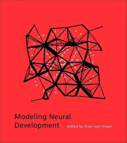 Modeling Neural Development