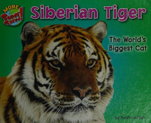 Siberian Tiger