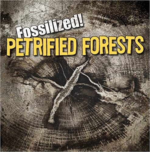 Petrified forests