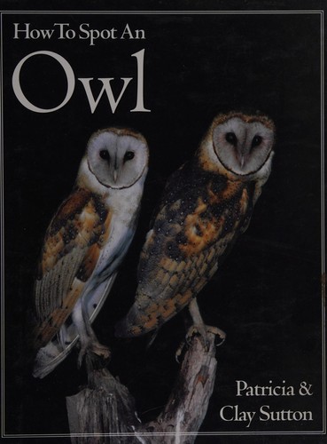 How to spot an owl