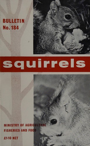 Squirrels