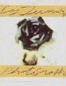 Cy Twombly: Photographs 1951-1999