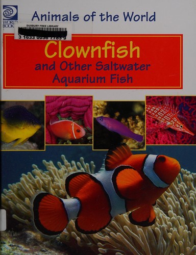 Clownfish and Other Saltwater Aquarium Fish