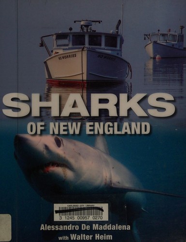 Sharks of New England