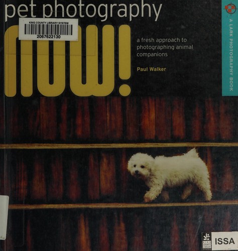 Pet Photography NOW!