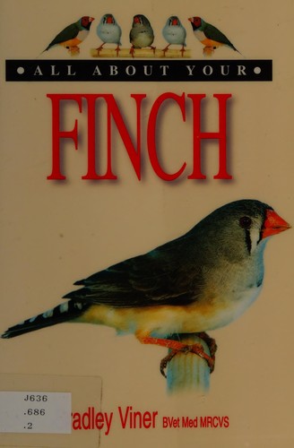 All About Your Finch