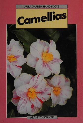 Camellias