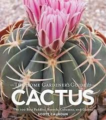 The gardener's guide to cactus