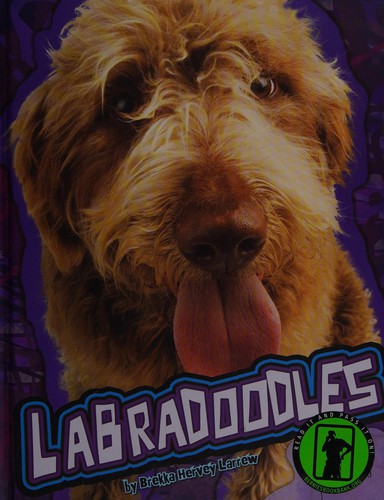 Labradoodles