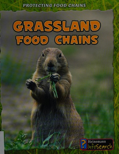 Grassland food chains