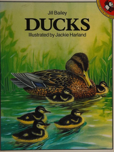 Ducks