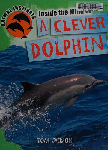 Inside the mind of a clever dolphin