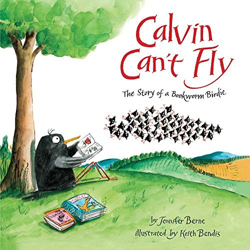 Calvin can't fly