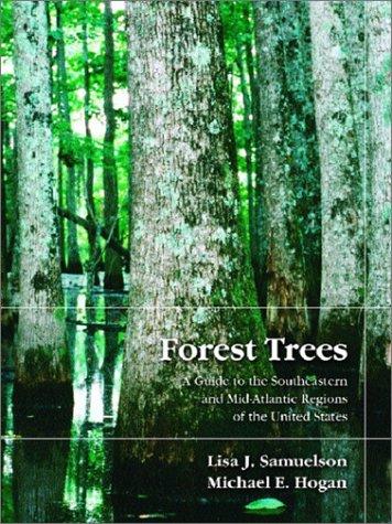 Forest trees