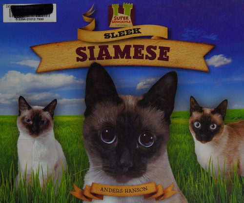 Sleek Siamese