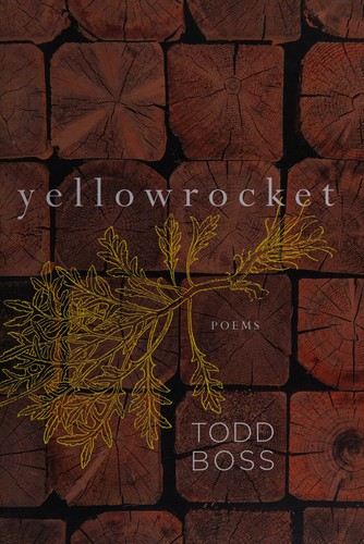 Yellowrocket