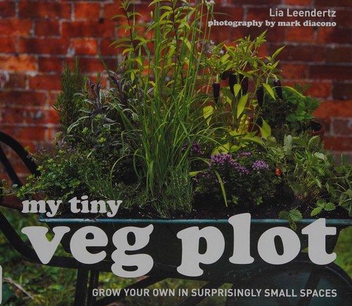 My tiny veg plot