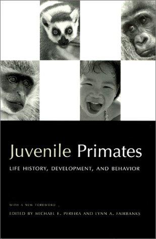 Juvenile Primates