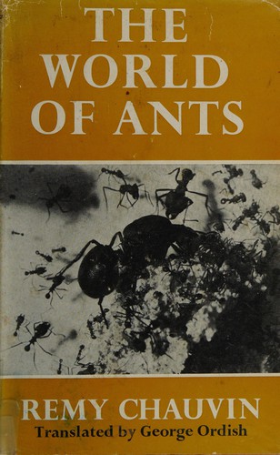 The world of ants