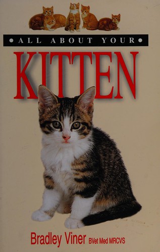 All About Your Kitten