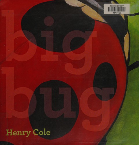 Big bug