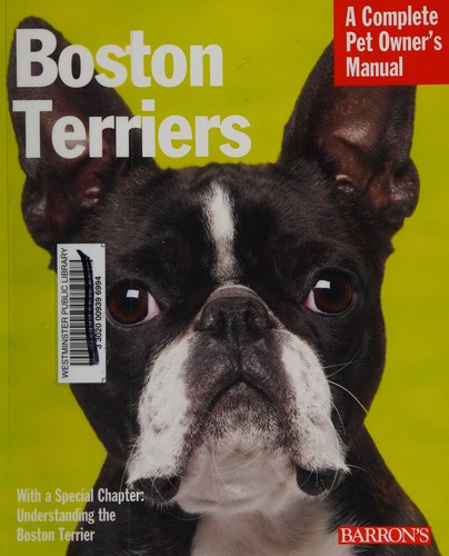 Boston Terriers