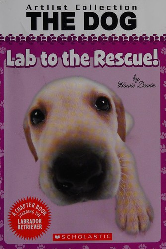 Lab to the rescue!