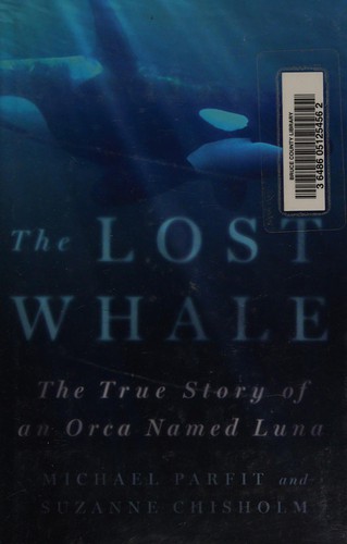 The lost whale