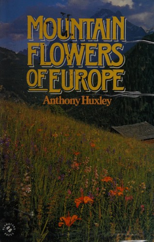 Mountain flowers