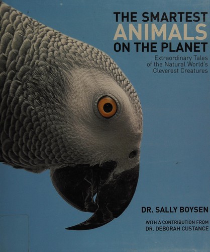 The Smartest Animals on the Planet