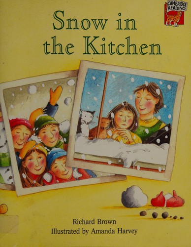Snow in the kitchen