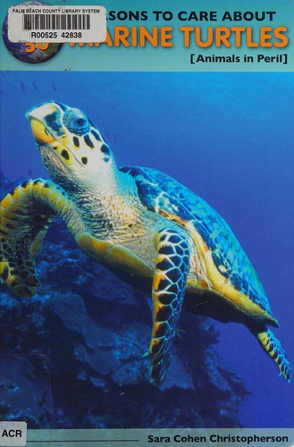 Top 50 Reasons to Care About Marine Turtles