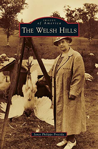 The Welsh Hills