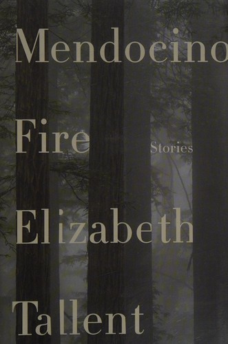 Mendocino fire