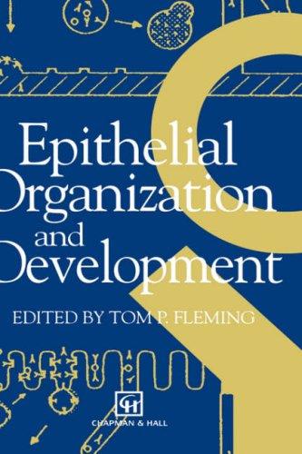 Epithelial organization and development