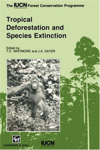 Tropical deforestation and species extinction