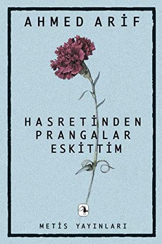 Hasretinden prangalar eskittim