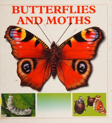 The Fascinating World of Butterflies and Moths