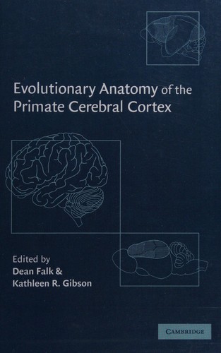Evolutionary anatomy of the primate cerebral cortex