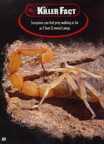 Scorpions